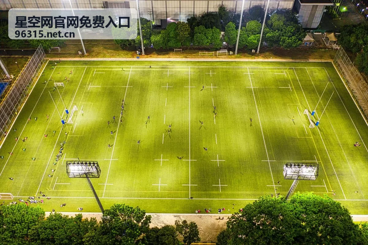 星空网官网免费入口电脑端访问与页面浏览场景