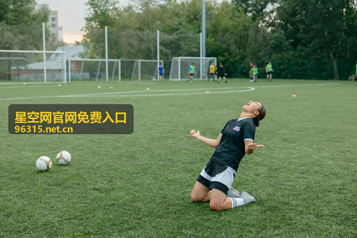 星空网官网免费入口功能模块说明查看场景