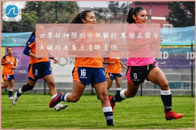 世界杯神预测升级解析 赛场走势与关键对决看点清晰呈现