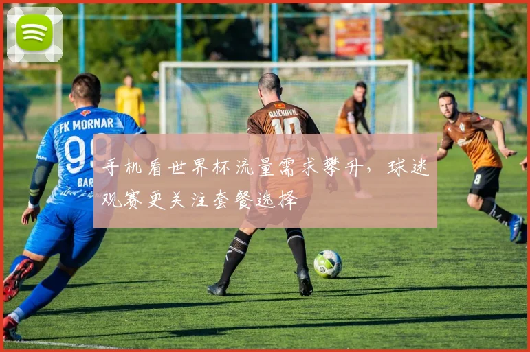 手机看世界杯流量需求攀升,球迷观赛更关注套餐选择