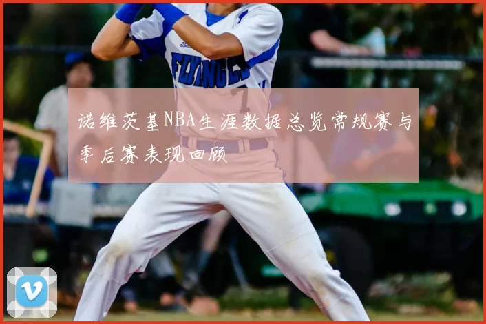 诺维茨基NBA生涯数据总览常规赛与季后赛表现回顾