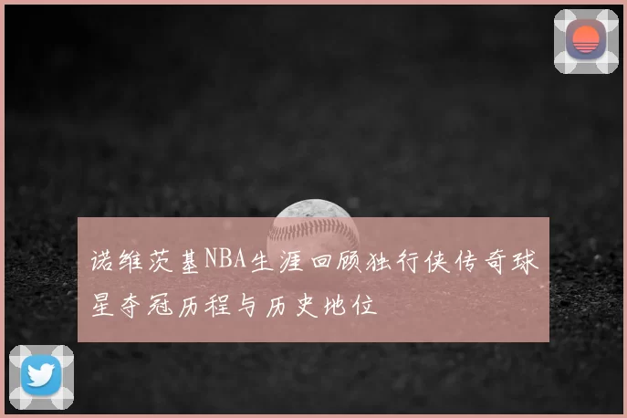 诺维茨基NBA生涯回顾独行侠传奇球星夺冠历程与历史地位