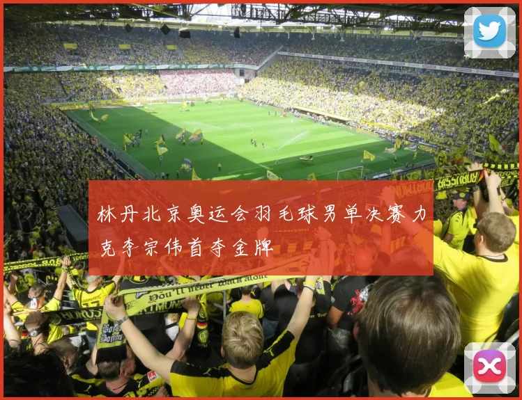 林丹北京奥运会羽毛球男单决赛力克李宗伟首夺金牌