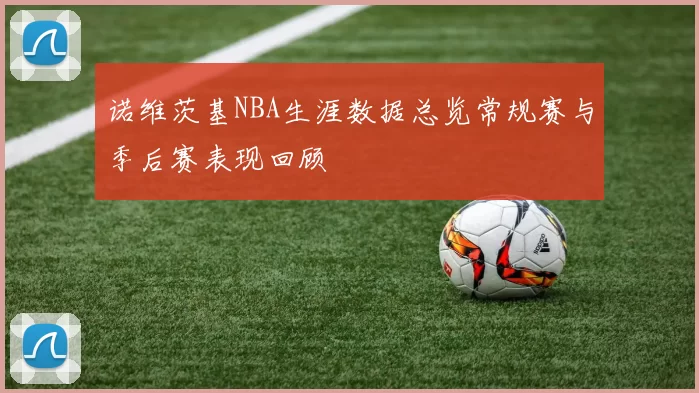 诺维茨基NBA生涯数据总览常规赛与季后赛表现回顾