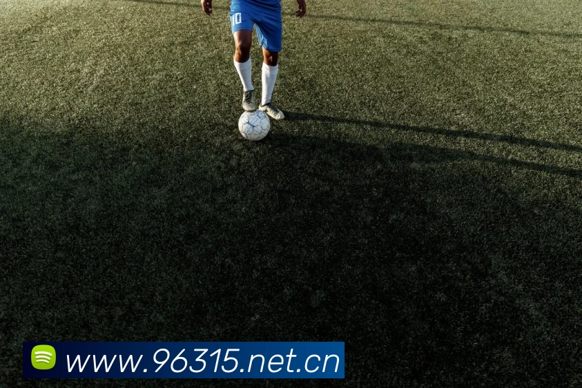 星空体育·「中国」官方网站服务体系